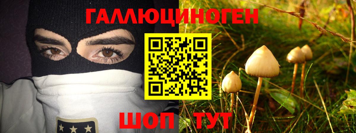 Псилоцибиновые грибы GOLDEN TEACHER Москва