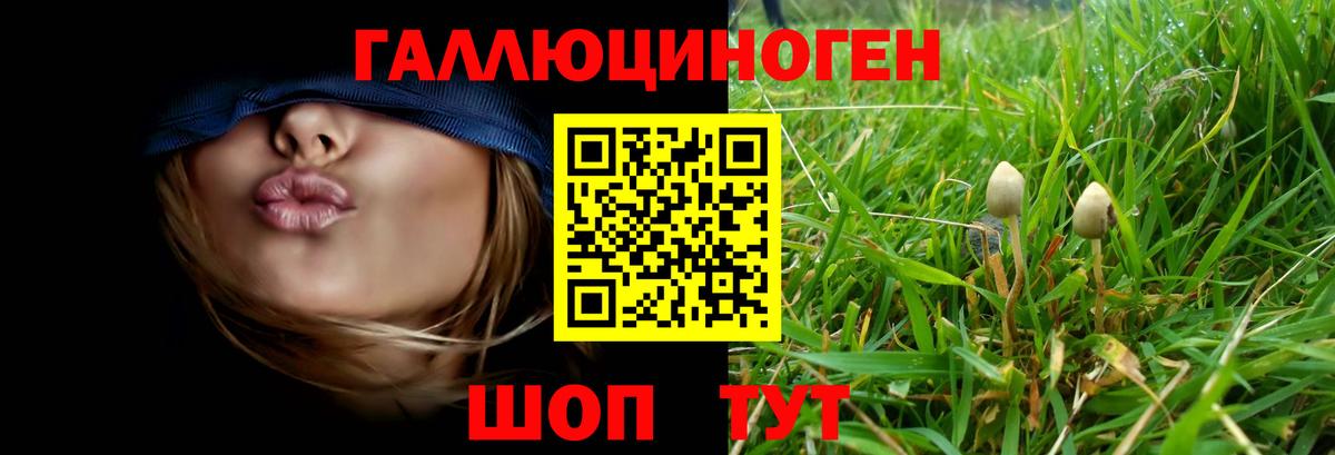Москва  Псилоцибиновые грибы мухоморы  Вход с VPN  Псилоцибиновые грибы мицелий 
